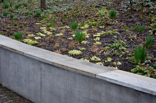 Concrete Wall Construction in Lodi