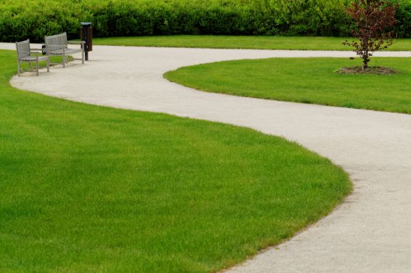 Sidewalk Concrete Service in Lodi