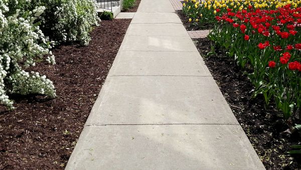 Cement Sidewalk Installation in Lodi