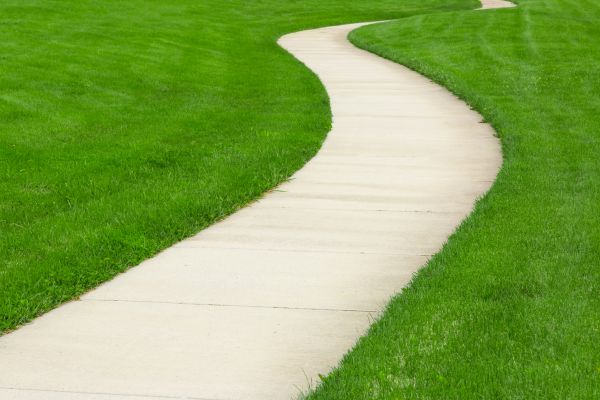 Cost of Walkway Building in Lodi
