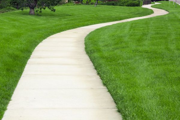 Cost of Sidewalk Paving in Lodi