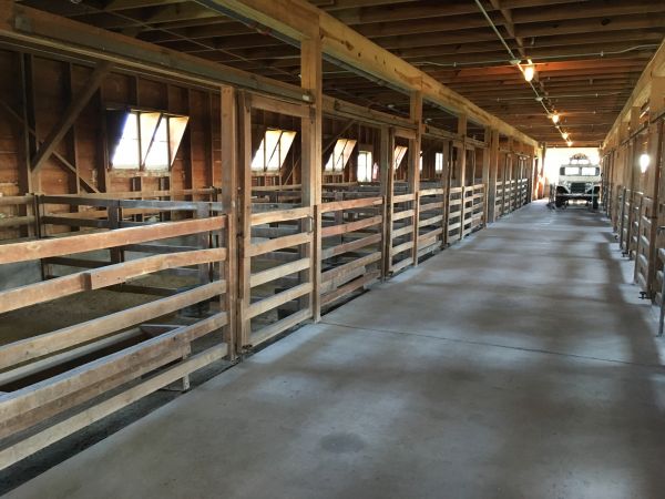 Barn Slab Construction in Lodi