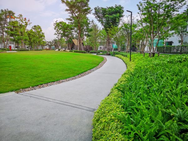 Cement Walkway Service in Lodi