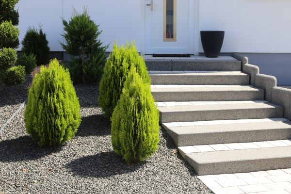 Exterior Steps Construction in Lodi