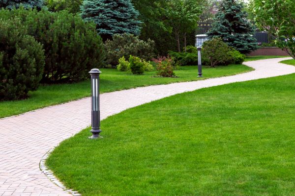 Backyard Sidewalk Installation in Lodi