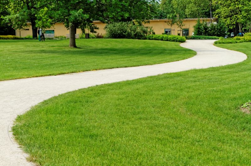 Eco-Friendly Options